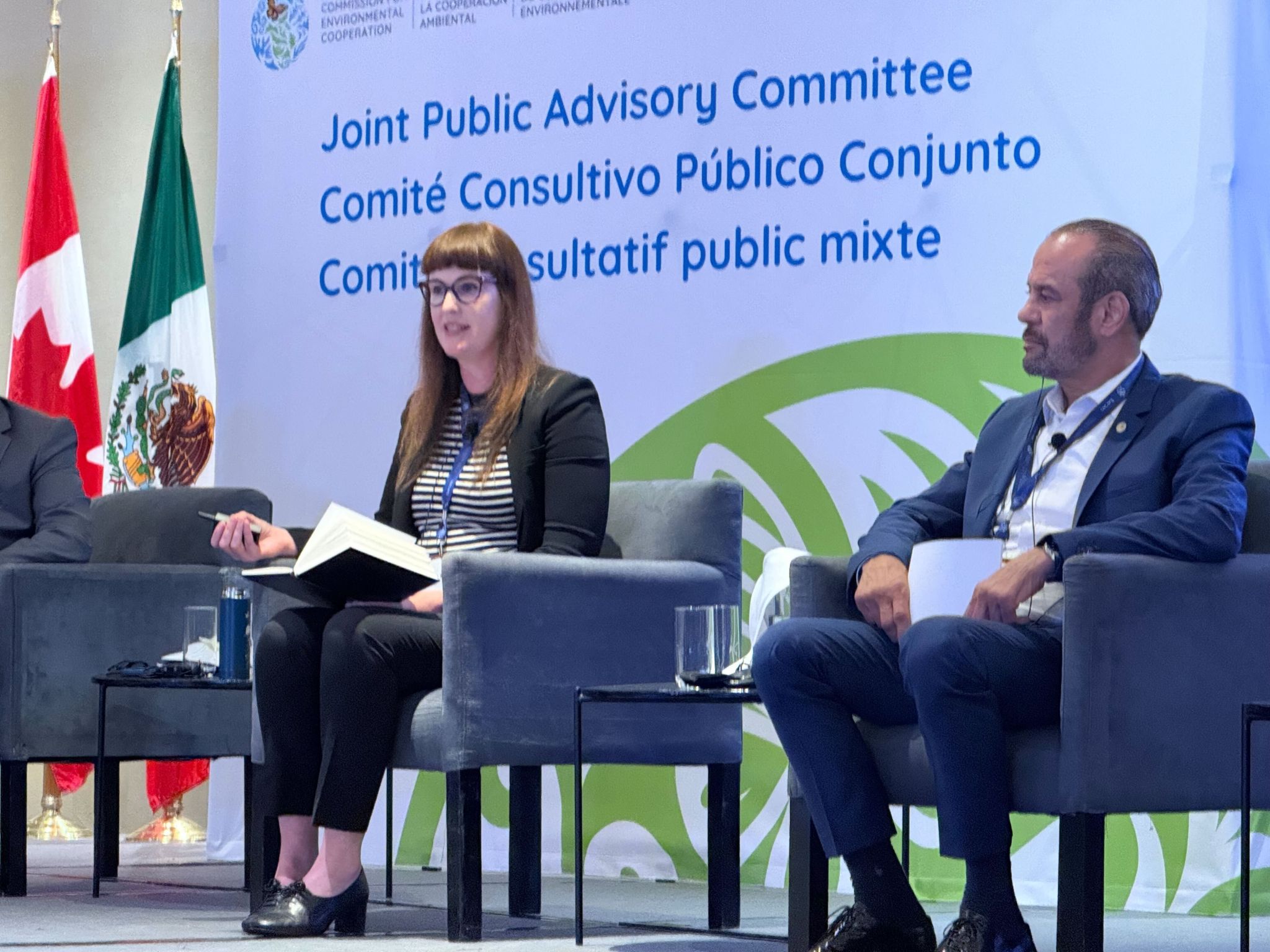 Jennie Romer speaking at the Commission for Environmental Cooperation, Joint Public Advisory Committee